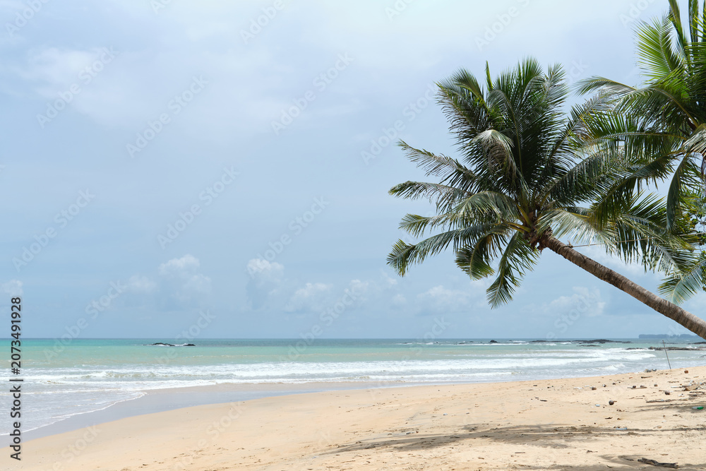 Fototapeta premium Coastal Pollution Awareness Concept on Tropical Beach background
