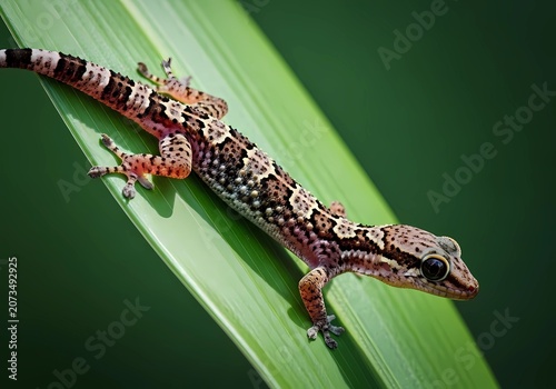 Small Gecko with Patterned Skin Rests on a Vibrant Green Leaf in Soft Light