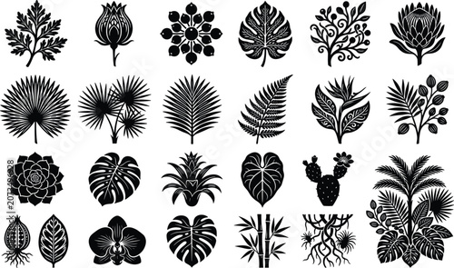 Set of Hand Drawn Tropical Leaves and Exotic Plants