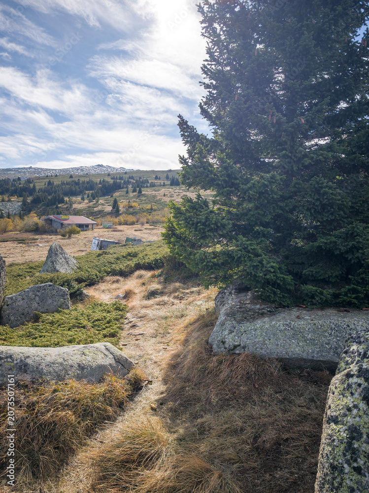 Obraz premium Konyarnika area at Vitosha Mountain, Bulgaria
