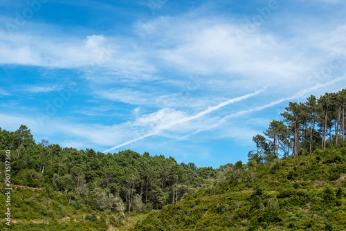 Peaceful Blue Sky Cloudscape Background