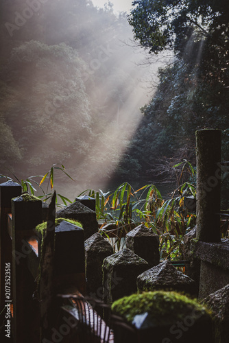 Fushimi Inari