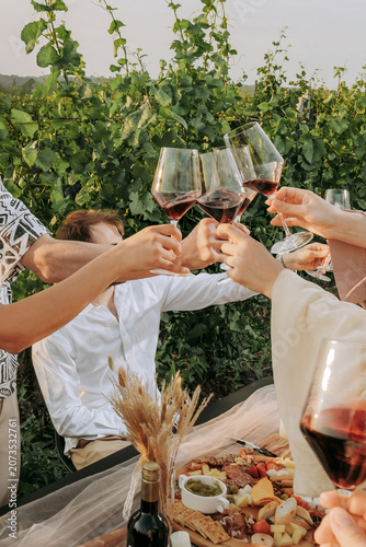Group of friends holding wine glasses with red wine, toasting outdoors party in a vineyard. Winery, wine production, sunset time