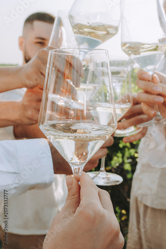 Group of friends holding wine glasses with white wine, toasting outdoors party in a vineyard. Winery, wine production, sunset time