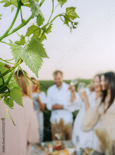 Grape vine in the foreground and group of friends holding wine glasses outdoors party in a vineyard in the background. Winery, wine production, sunset time