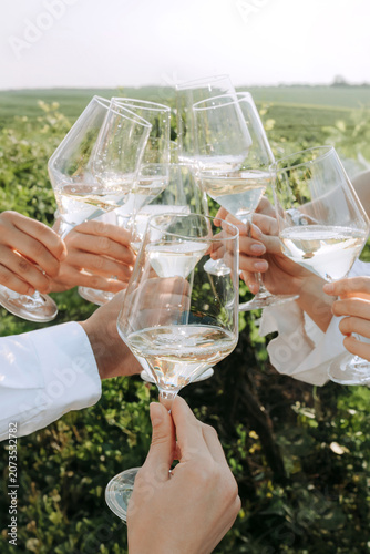Group of friends holding wine glasses with white wine, toasting outdoors party in a vineyard. Winery, wine production, sunset time