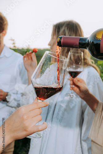Group of friends holding wine glasses with red wine, toasting outdoors party in a vineyard. Winery, wine production, sunset time