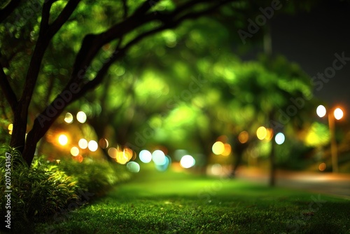 A serene park scene is illuminated by soft, blurred lights at night.
