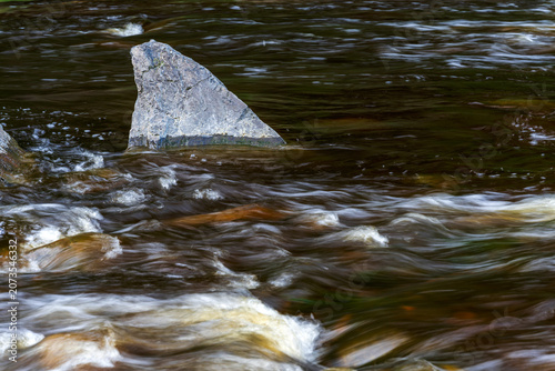 Foto A river rock shaped like a shark dorsal fin