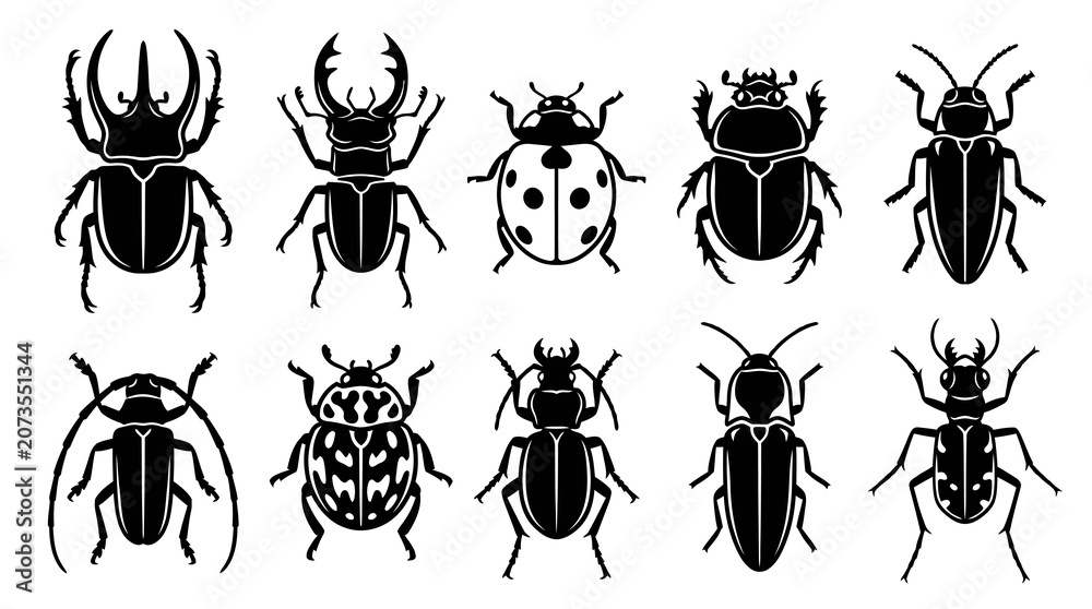 Fototapeta premium Beetle insects and exotic bugs vector silhouettes set