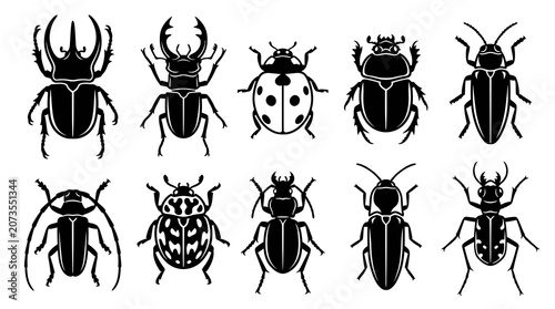 Beetle insects and exotic bugs vector silhouettes set