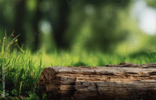 A weathered tree trunk rests peacefully amidst lush green grass and a blurred forest backdrop, evoking a sense of natural tranquility.