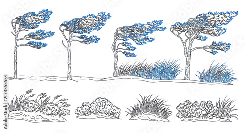 Foto Windswept Trees and Grasses - Nature Illustration