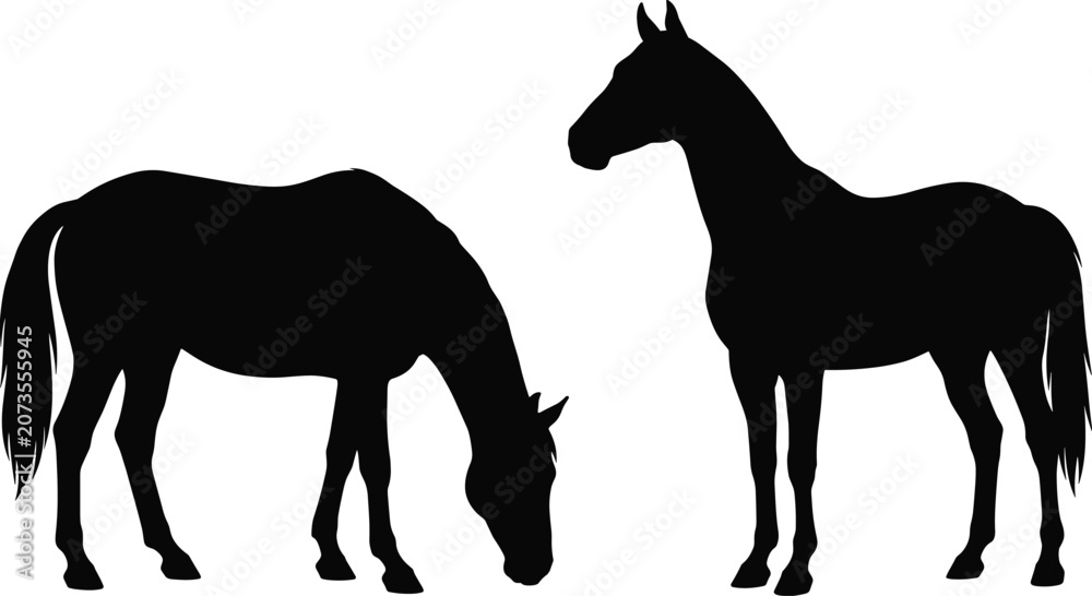 Obraz premium Horse silhouette vector isolated graphic resource with grazing stallion for western farm designs