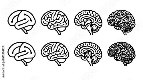 Tableau sur toile Brains Depicted in Various Anatomical Views with Detailed Neural Structures Feat