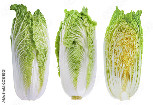 Fresh raw green chinese napa cabbage whole and cut half isolated on white background