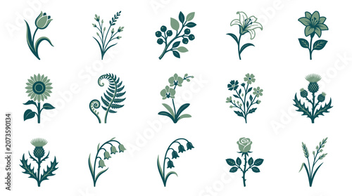 Fotografie Collection of various green plants.