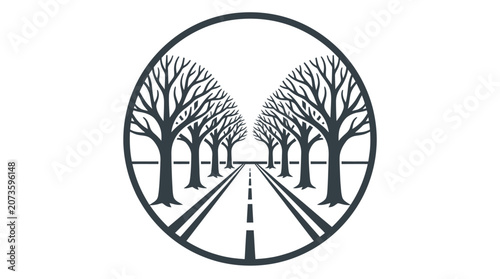 Bare Trees Lined on Roadway.