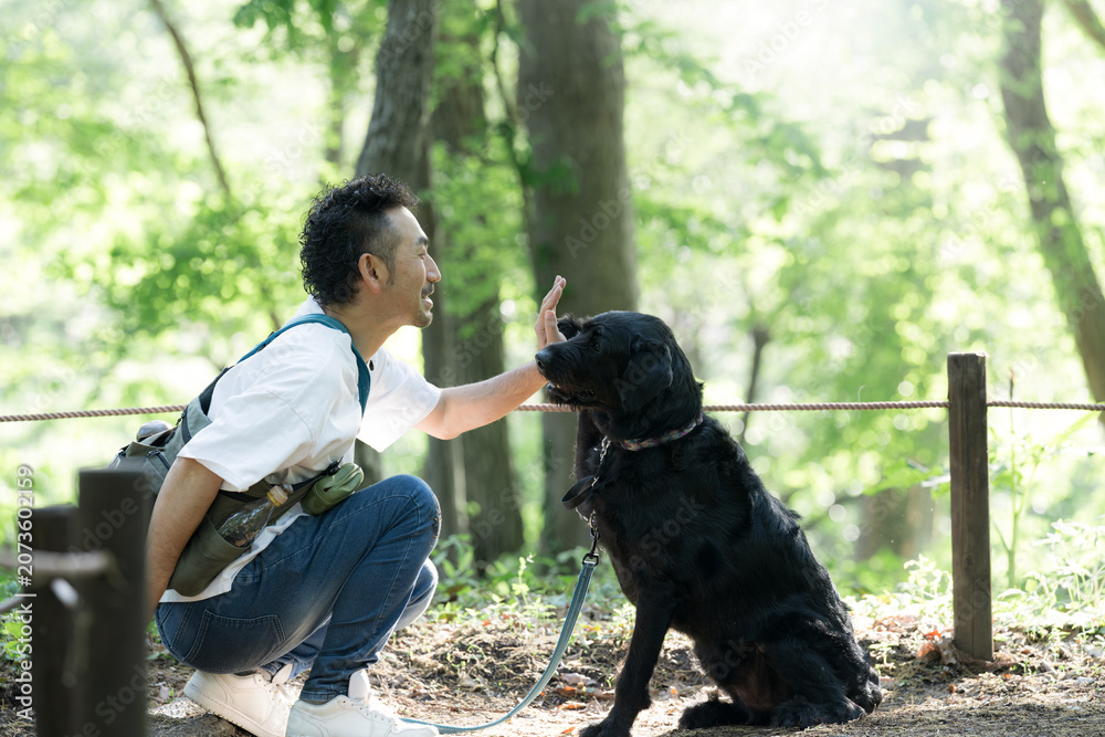 Fototapeta premium 犬と見つめ合う仲良しの散歩を楽しむ男性 公園で大型犬のペットに躾をするライフスタイル ハイタッチで見つめ合う