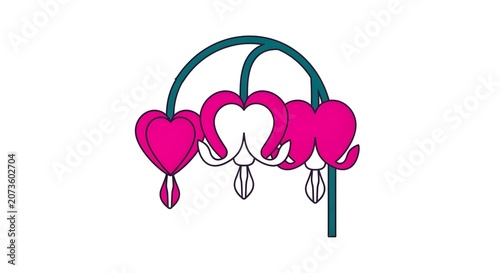 Vector illustration of pink bleeding heart flowers on white background