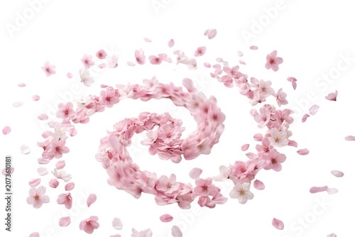 Pink flowers swirl 