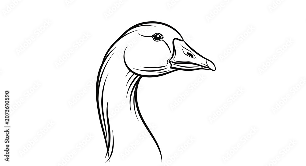 Obraz premium Elegant white crane bird in flight silhouette.
