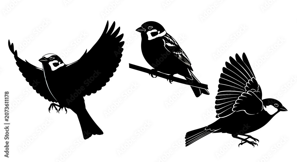 Fototapeta premium Three Black Birds in Flight Silhouette.
