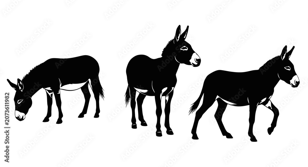 Fototapeta premium Three donkeys standing side by side.