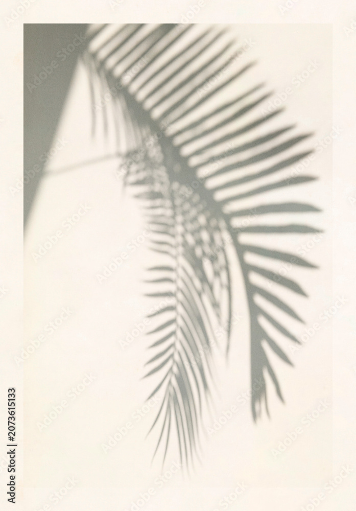 Fototapeta premium Soft palm leaf shadow on light background poster design