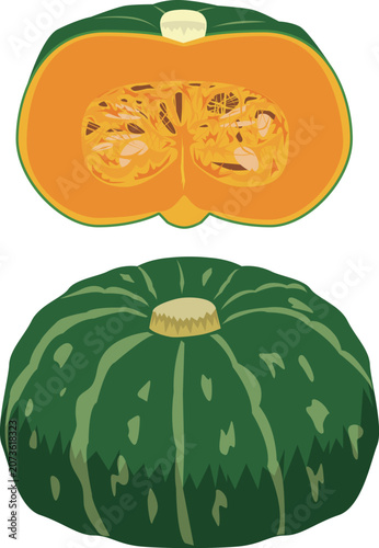 かぼちゃのイラスト