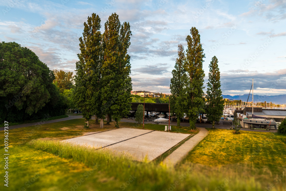 Fototapeta premium park in the city
