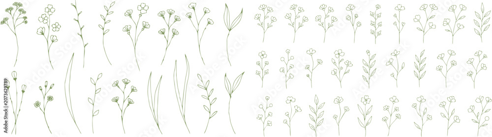 Fototapeta premium Collection of hand drawn wildflowers and plants
