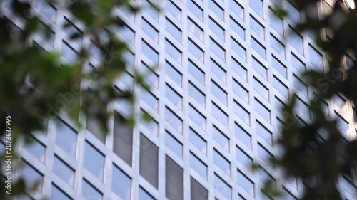 Skyscraper Windows Beyond Green Tree Leaves