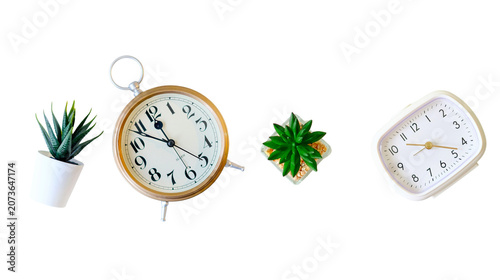 Composition of decorative alarm clocks and small potted succulent plants isolated on white background with succulent decoration background
