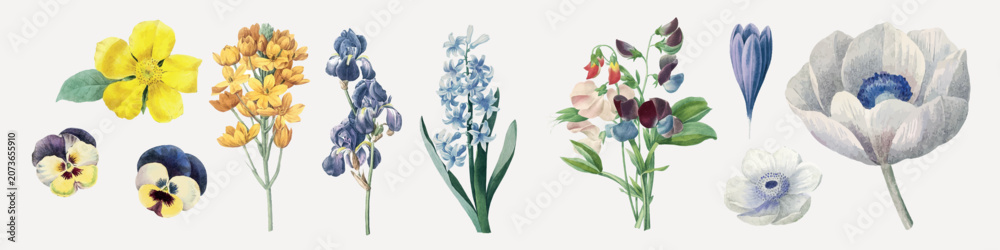Fototapeta premium Vector set of colorful spring flowers and botanicals in delicate watercolor style