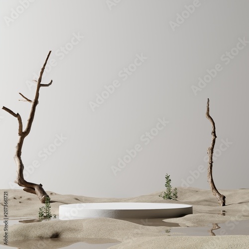 minimalist white podium on sand with water reflection and dry branches 3d rendering
