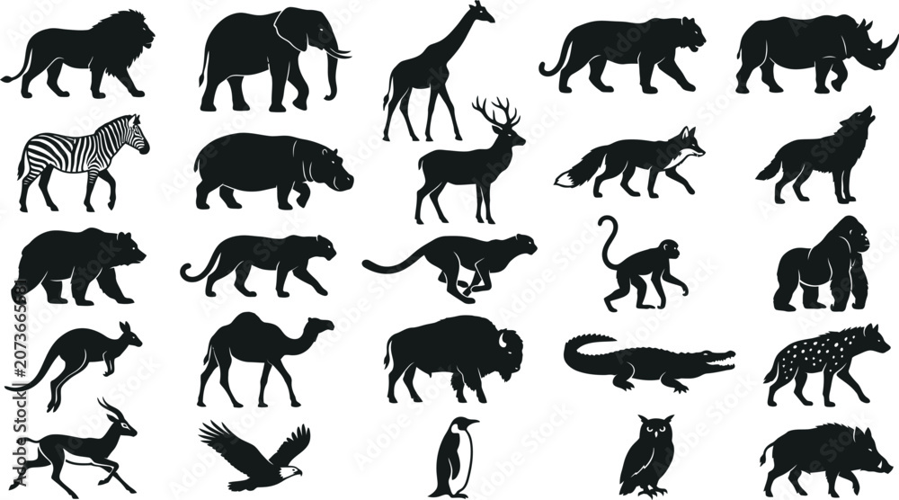 Fototapeta premium Black and white of various animals including giraffe, elephant, lion, zebra, and rhino