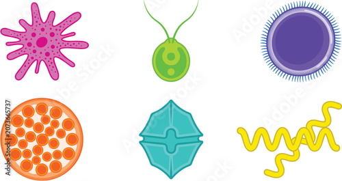 Schilderij op canvas Microbiology Vector Icon Set Featuring Microorganisms and Cells Including Amoeba