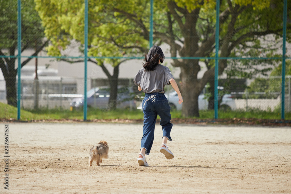 Obraz premium 春の昼の公園の運動場で楽しく遊んでいる可愛いポメラニアンの子犬と十代の女の子の姿