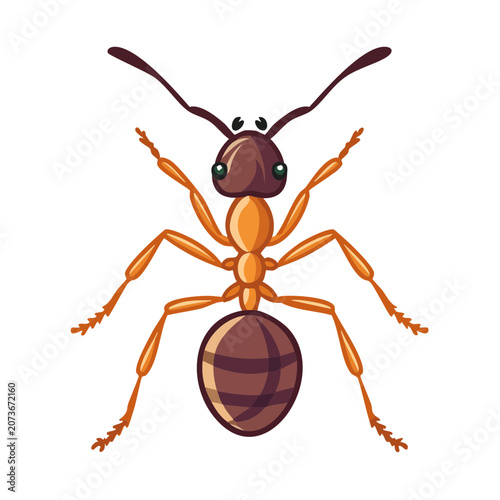Cartoon Ant Vector Illustration