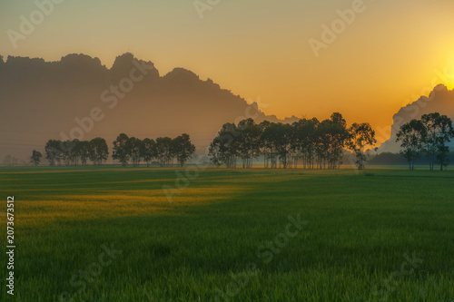 Fotografie The green rice paddies in the background are lined with trees and large mountains, especially in the evening as the sun sets