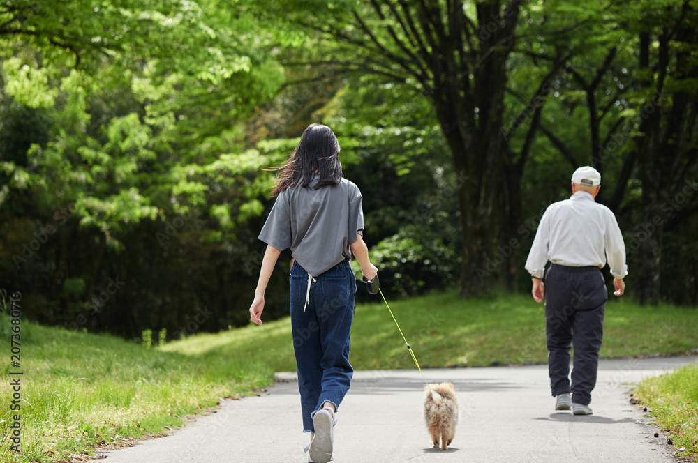 Fototapeta premium 春の公園でポメラニアンの子犬を連れて散歩する十代の女の子とシニア男性の姿