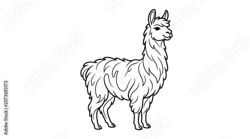 Cute Llama Cartoon Illustration - Line Art Drawing on White Background
