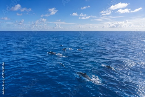 Boat in the sea horizon sea water nature ocean wave sky clouds cloud sun seascape lake blue travel summer.