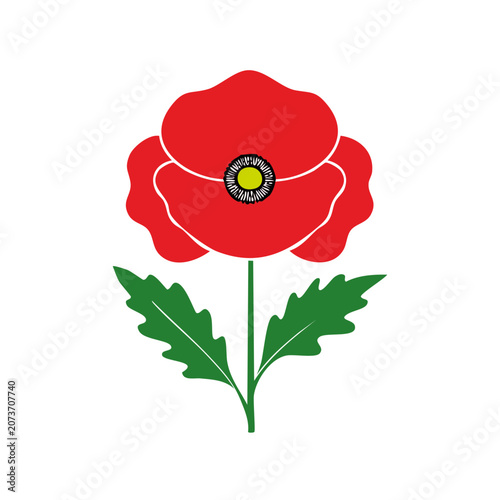Red Poppy Flower with Green Leaves Vector Illustration