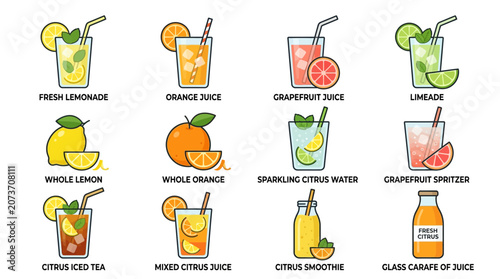 Collection of refreshing citrus drinks and fruits illustration