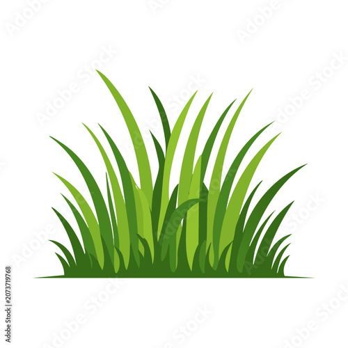 Green Grass Vector Illustration