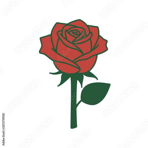 Red rose vector illustration with stem and leaf