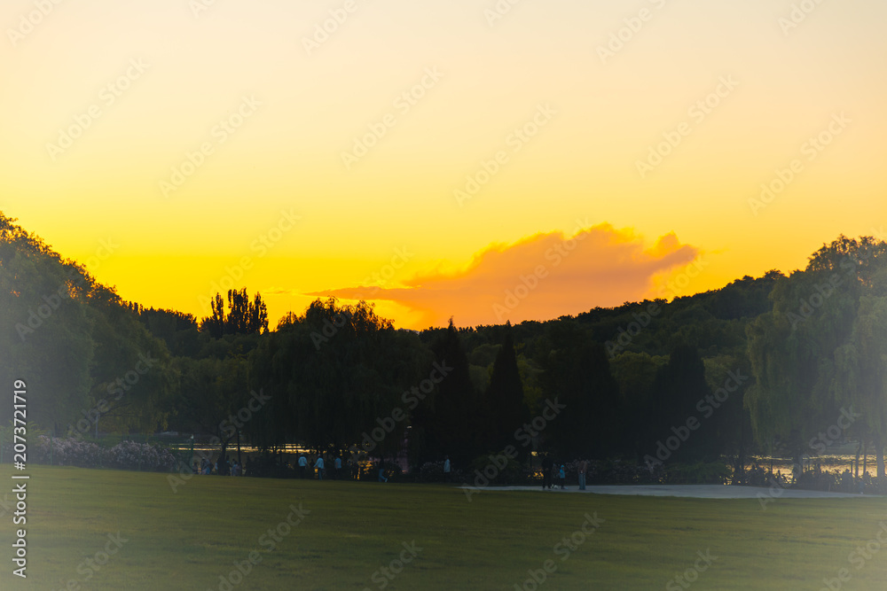 Fototapeta premium Golden Sunset over Urban Park Lawn and Tree Silhouettes
