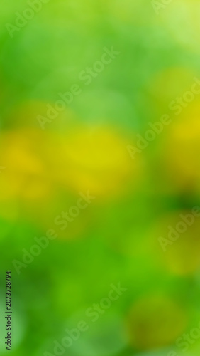 Soft green bokeh background featuring blurred foliage and warm sunlight tones...